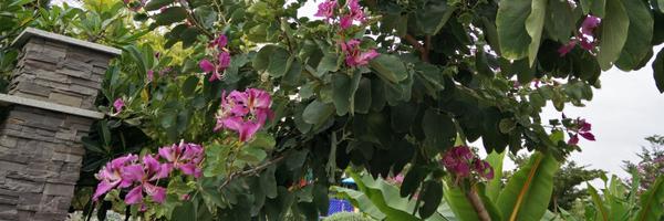 rk_misra Profile Banner
