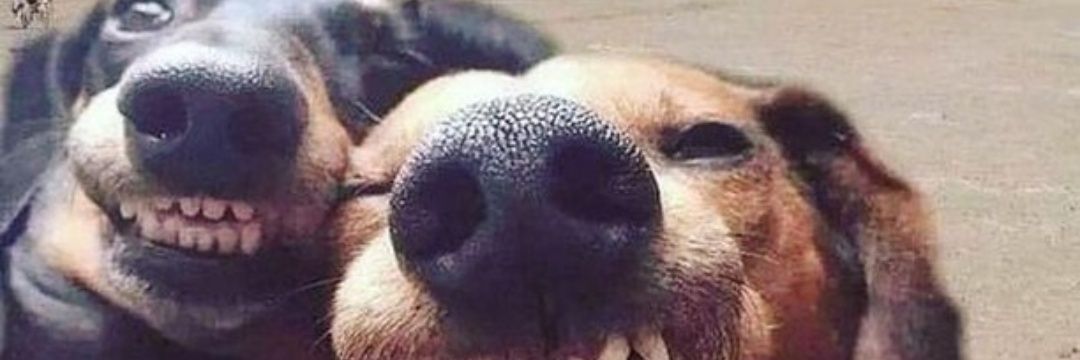 Lutxo75's profile banner image