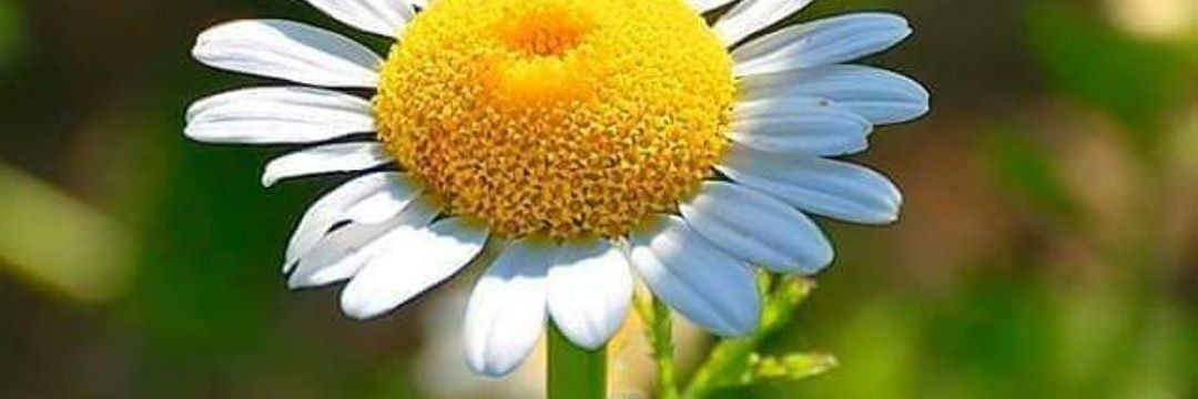 Nurulla04579497's profile banner image