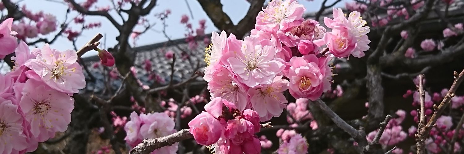 tika0228's profile banner image