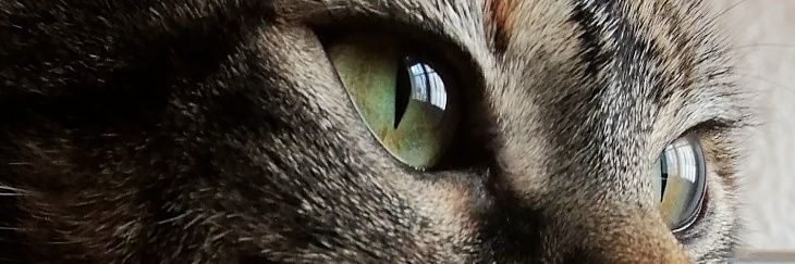 ofels99's profile banner image