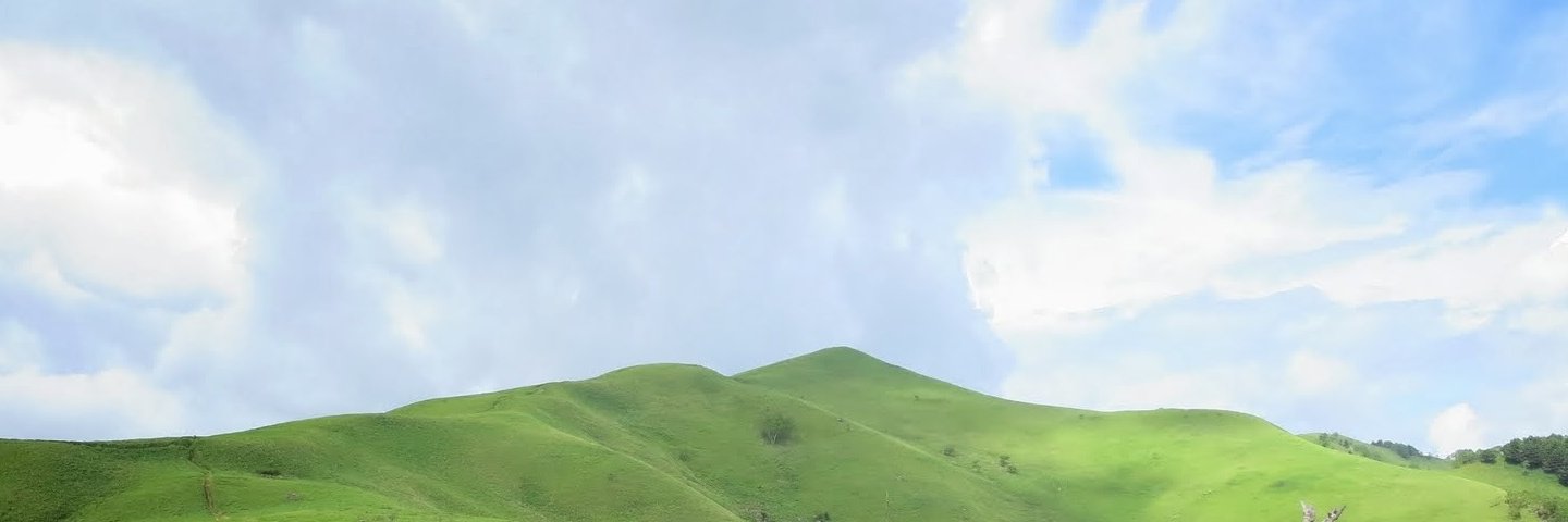 ponavi's profile banner image
