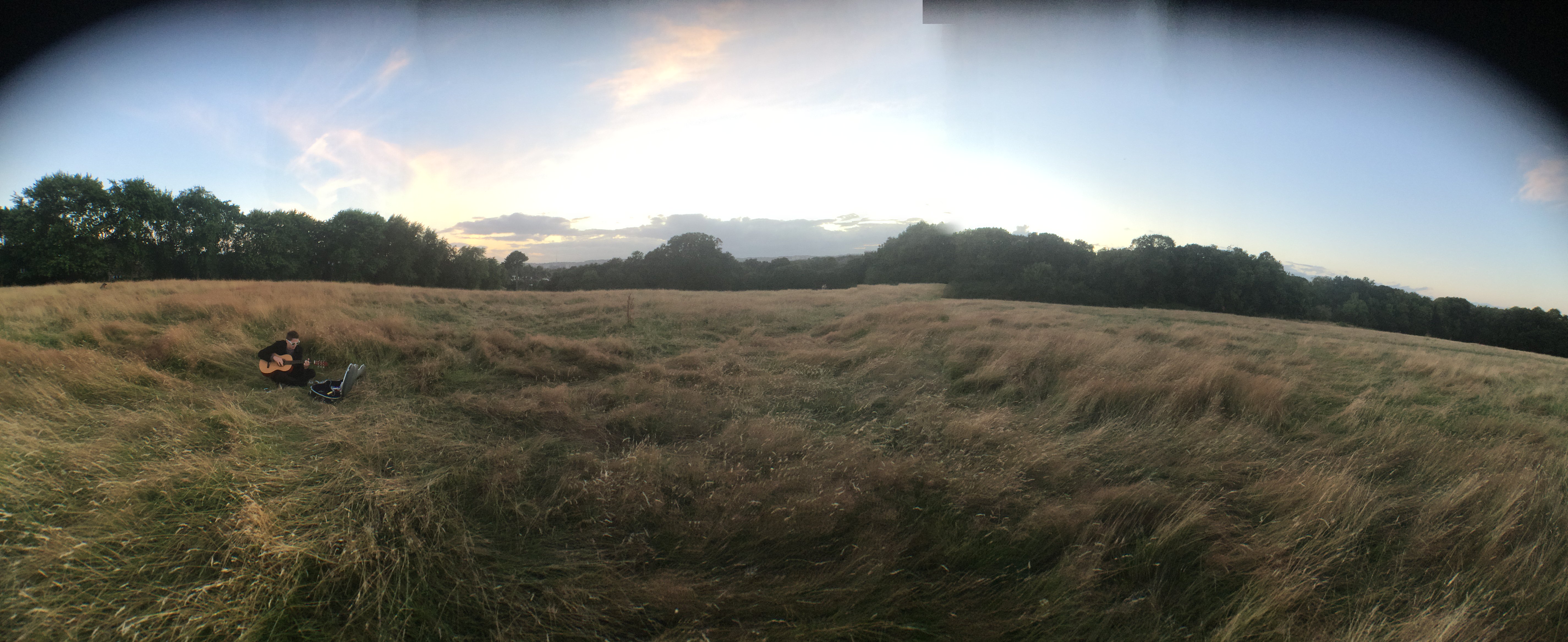 DBetchley's profile banner image