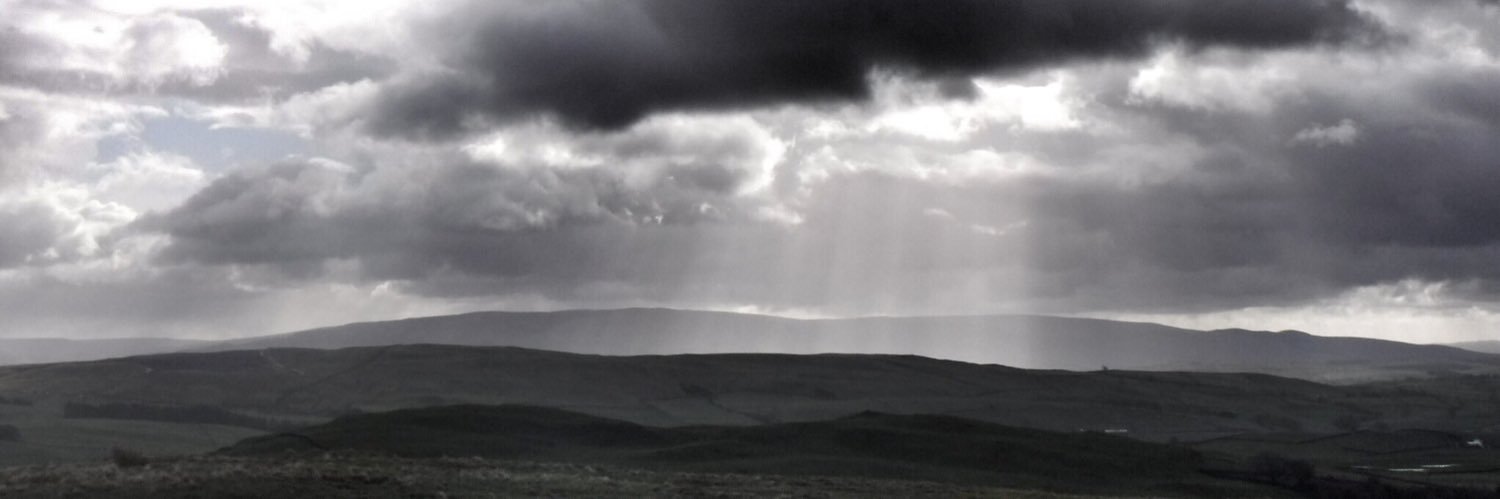 RealKnott's profile banner image