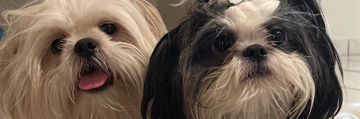 celinaarmentab's profile banner image