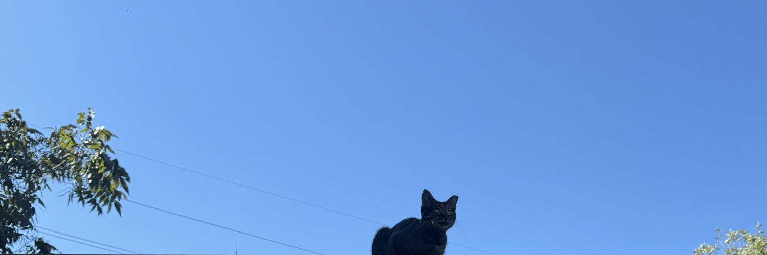 notjigg's profile banner image