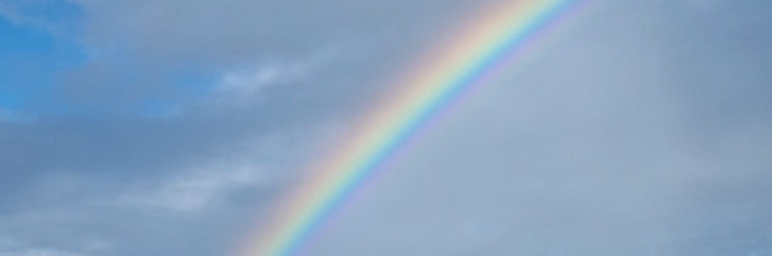 alexia_rgx's profile banner image