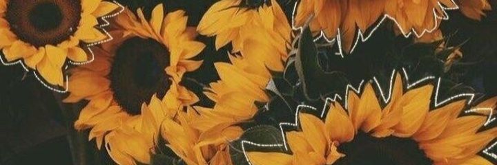 𝙹𝚊𝚒𝚜𝚊𝚒 | ขายของจ้าไม่ตอบdm banner