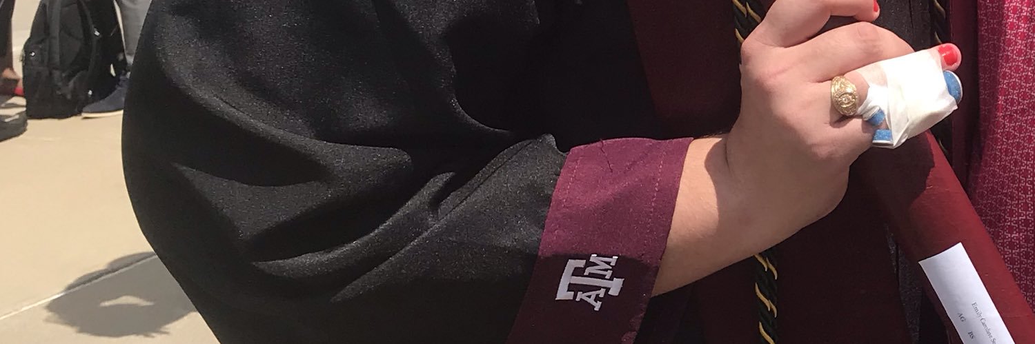 RenSnowball's profile banner image
