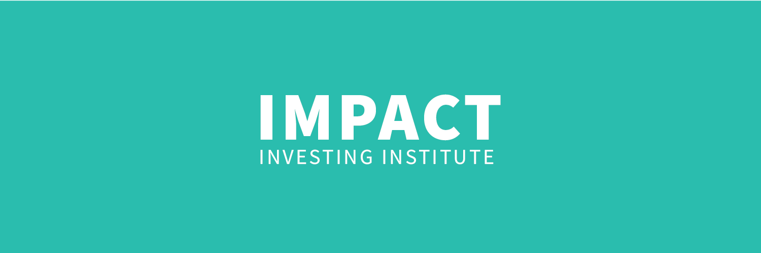 Impact Investing Institute banner