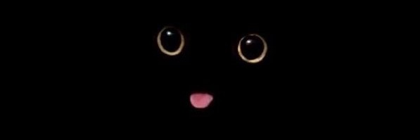 YuTo banner