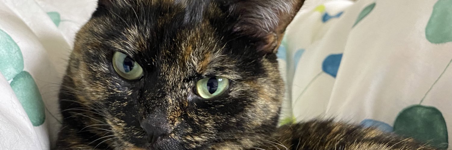 sinobulian's profile banner image