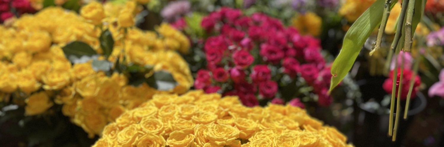chriswxvy's profile banner image
