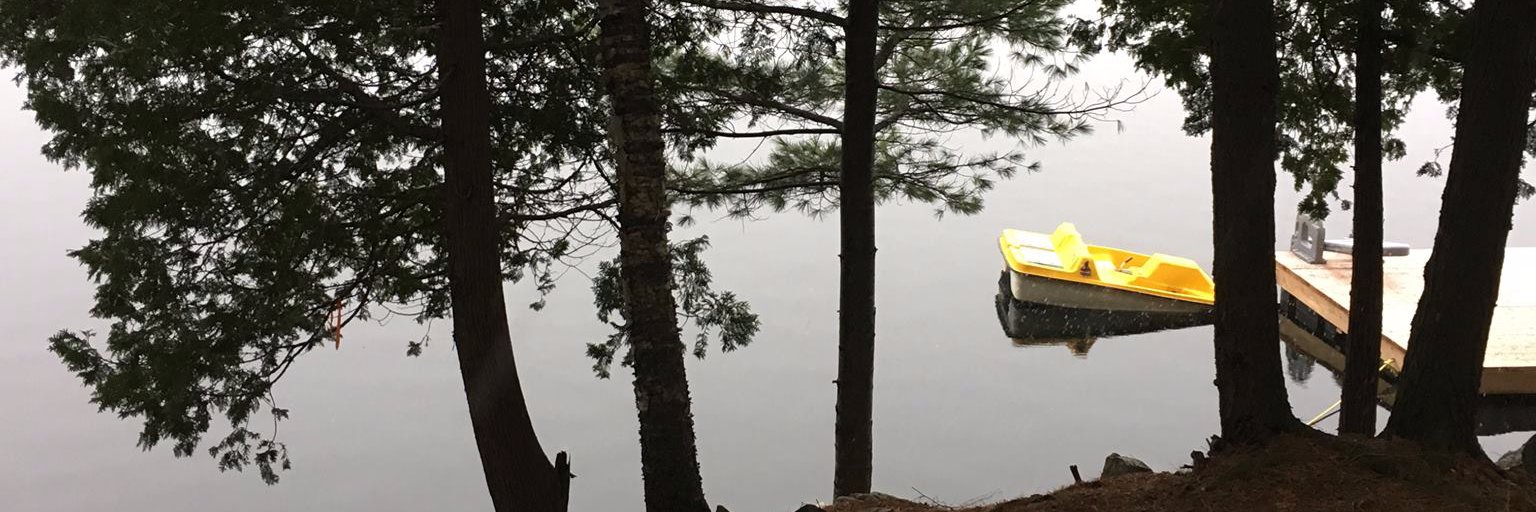 mrramsden's profile banner image