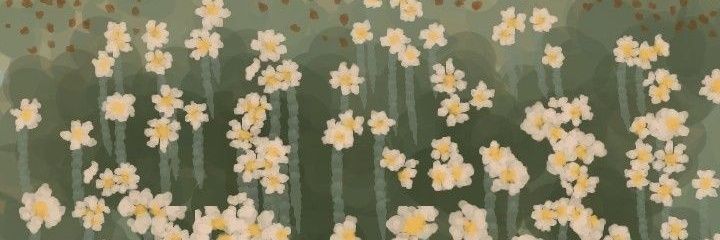 s banner