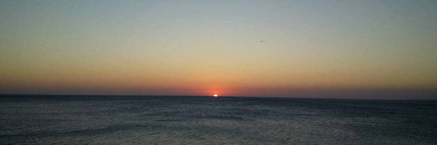 Diego Álvarez banner