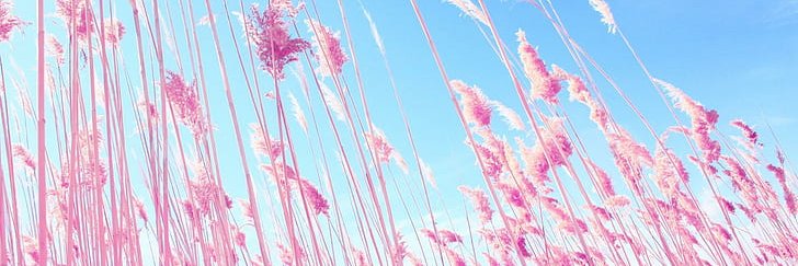 P.L Sapphic Fun ♀️♀️ 🔞 MDNI banner