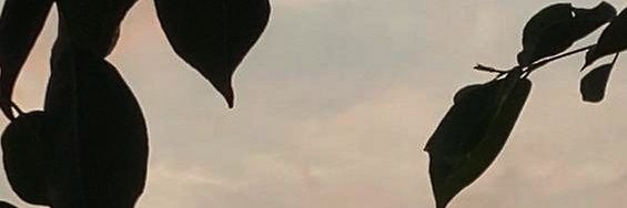 Twentyfour66117's profile banner image