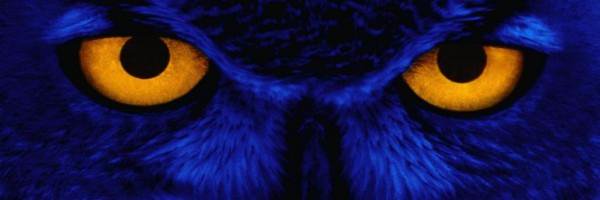 SMSOwls1 Profile Banner