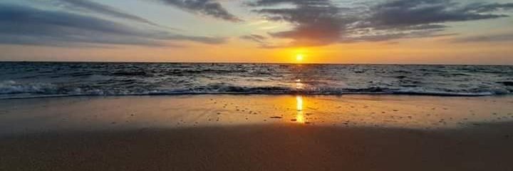 lexanderd101's profile banner image