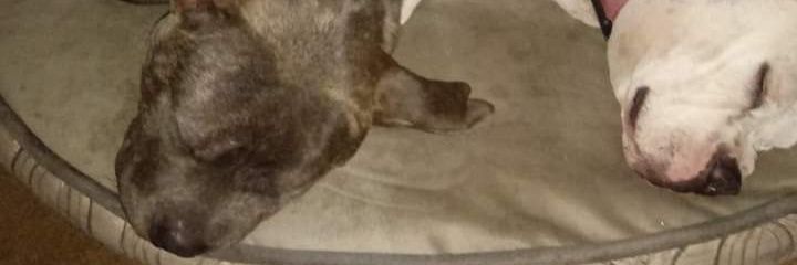holem327's profile banner image