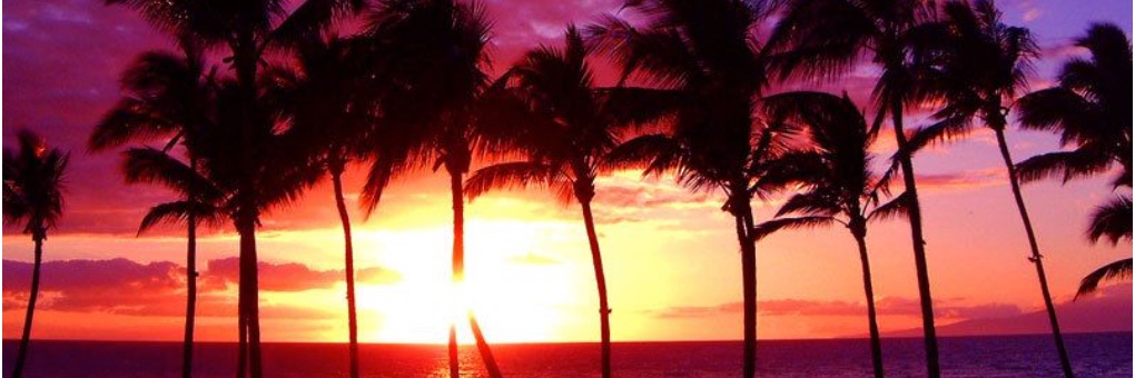 HawaiiMagnum's profile banner image