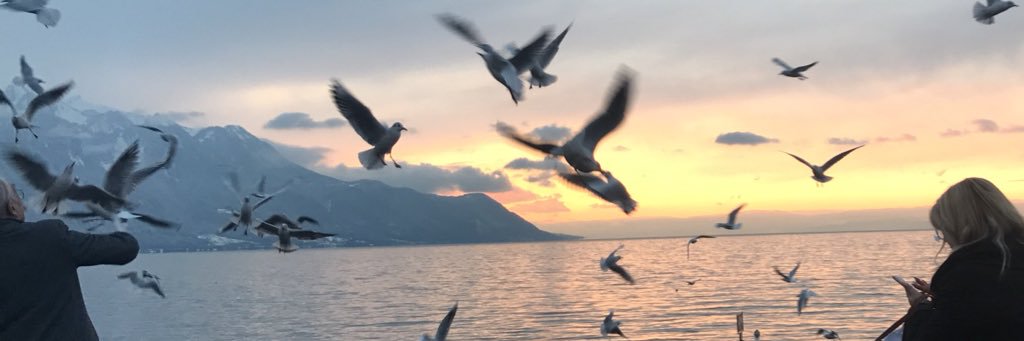 nitameh's profile banner image