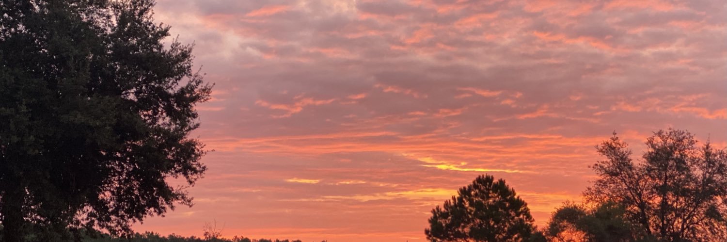 ashleynb's profile banner image