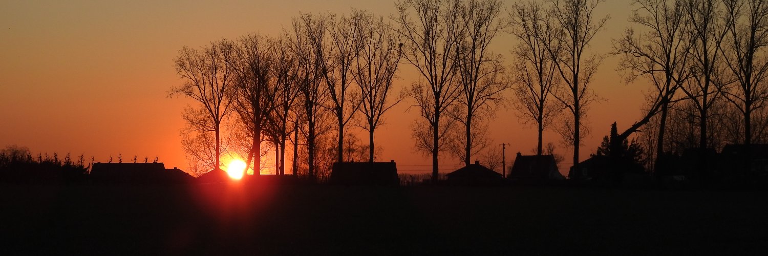 WimLaporte's profile banner image