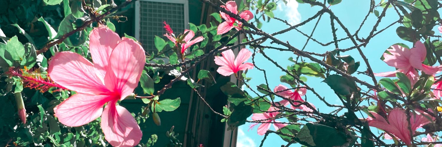 jackieferr99's profile banner image