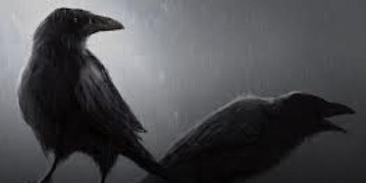 Mirian199555's profile banner image