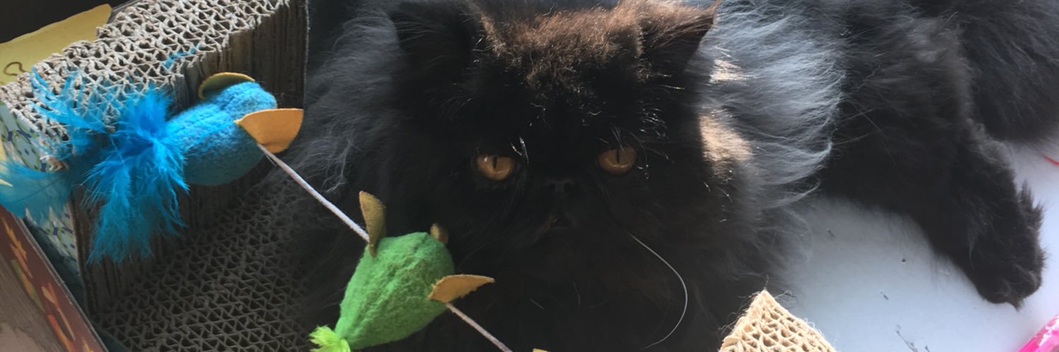ANA CUENCA banner