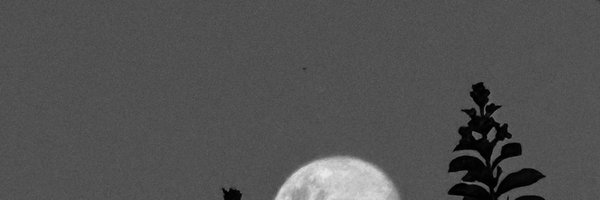 yeigonzalez_t Profile Banner