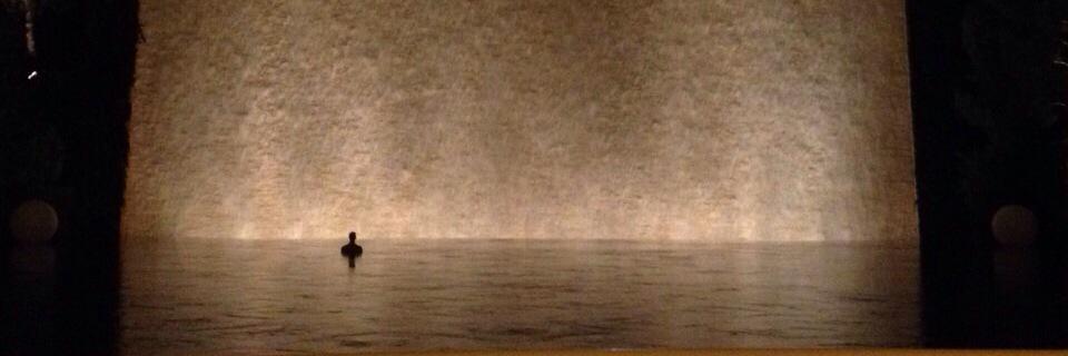 AlioMcDonnell's profile banner image