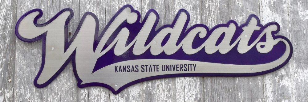 Shane McCormick banner