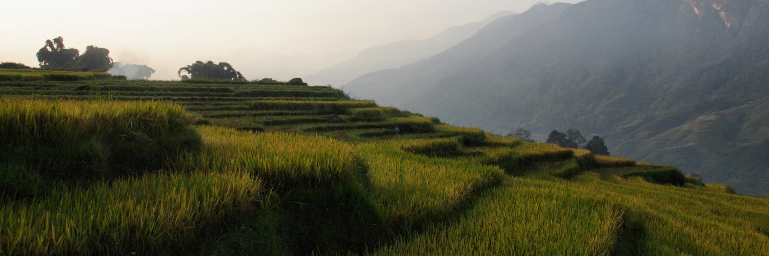 Simon Wengert banner