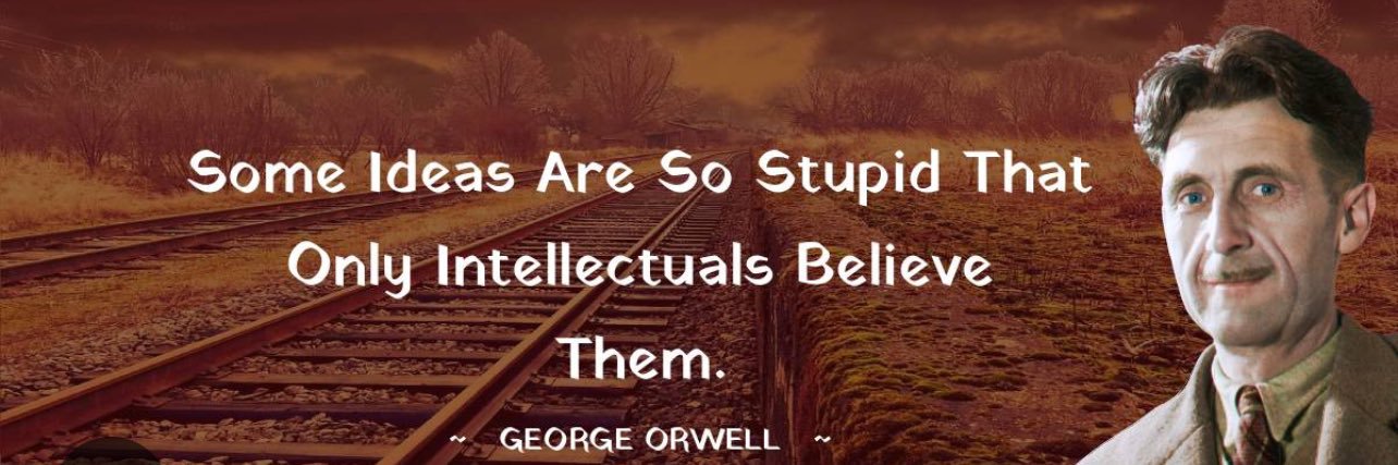 🍀Proudly attached to reality.🍀 banner