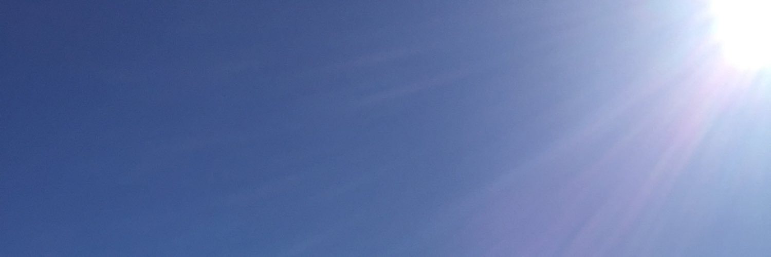 luizaland's profile banner image