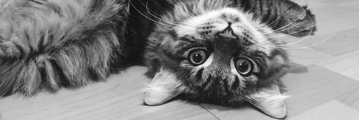 _Mandarisha_'s profile banner image