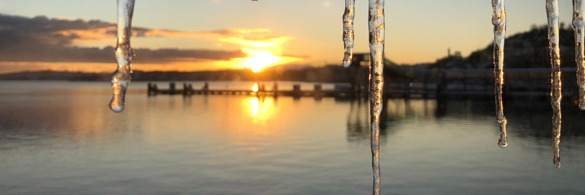 Anne Mette Seines banner