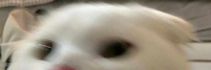 Ursky_'s profile banner image