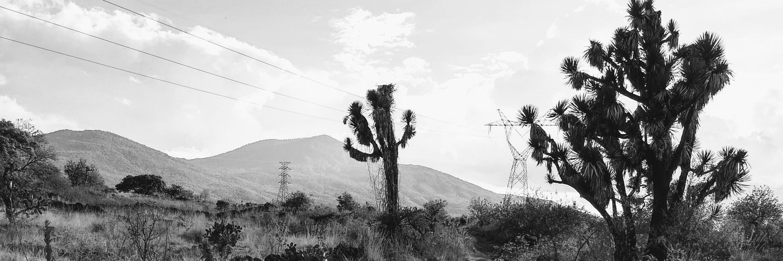 PacoJLemus's profile banner image