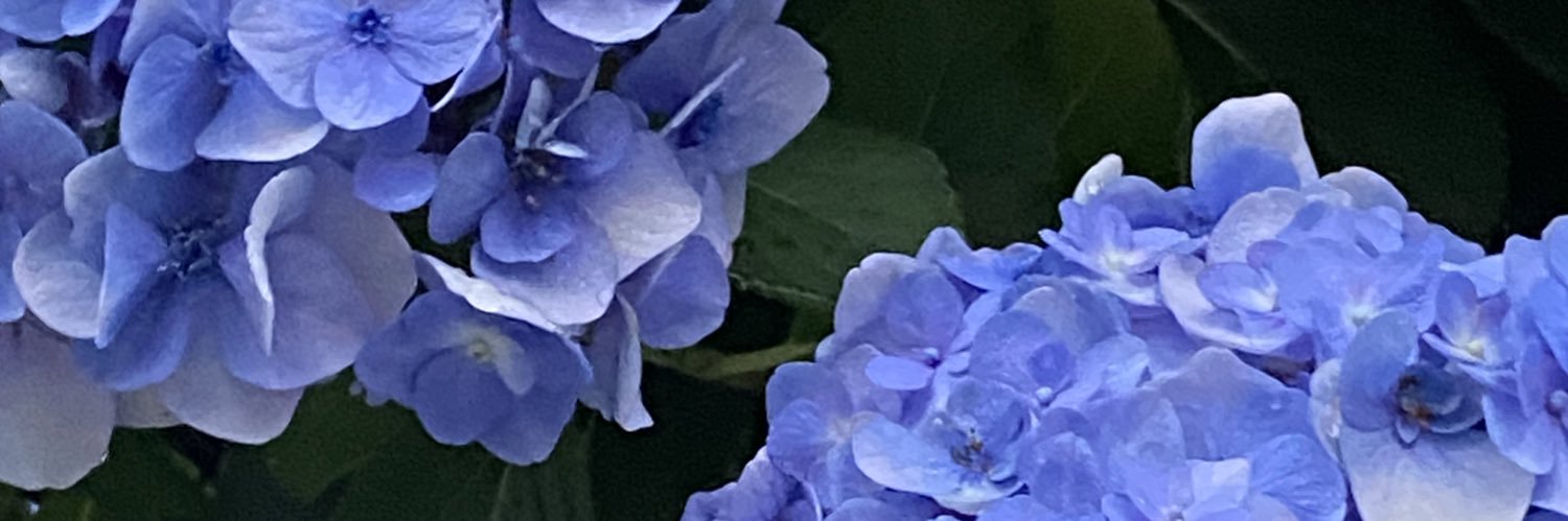 0m0chimo0chi's profile banner image
