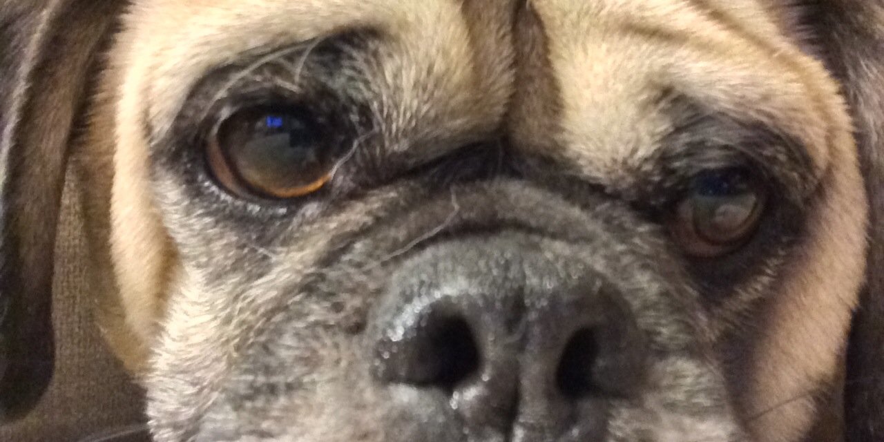 phatduckk's profile banner image