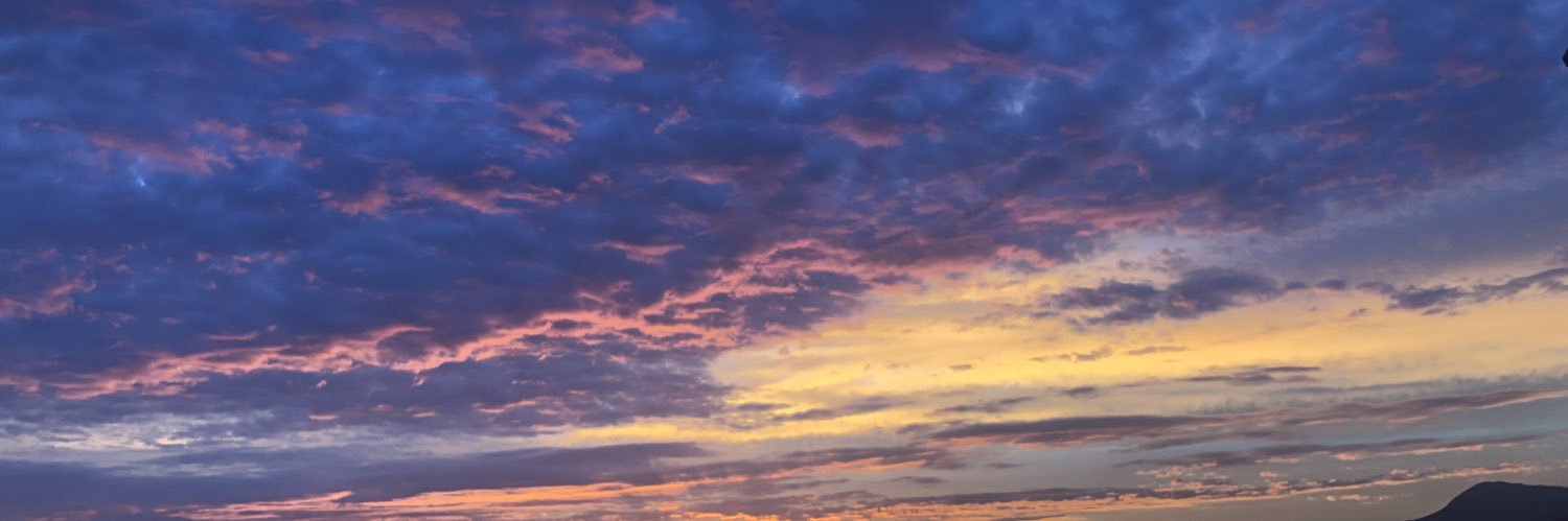 océ banner