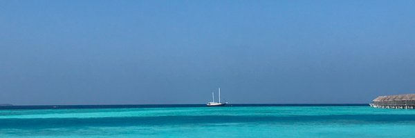 SilviaChangMD Profile Banner