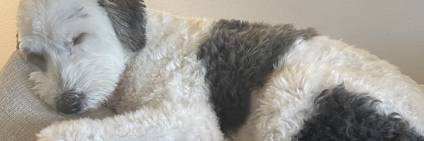 Mytholxgy Profile Banner