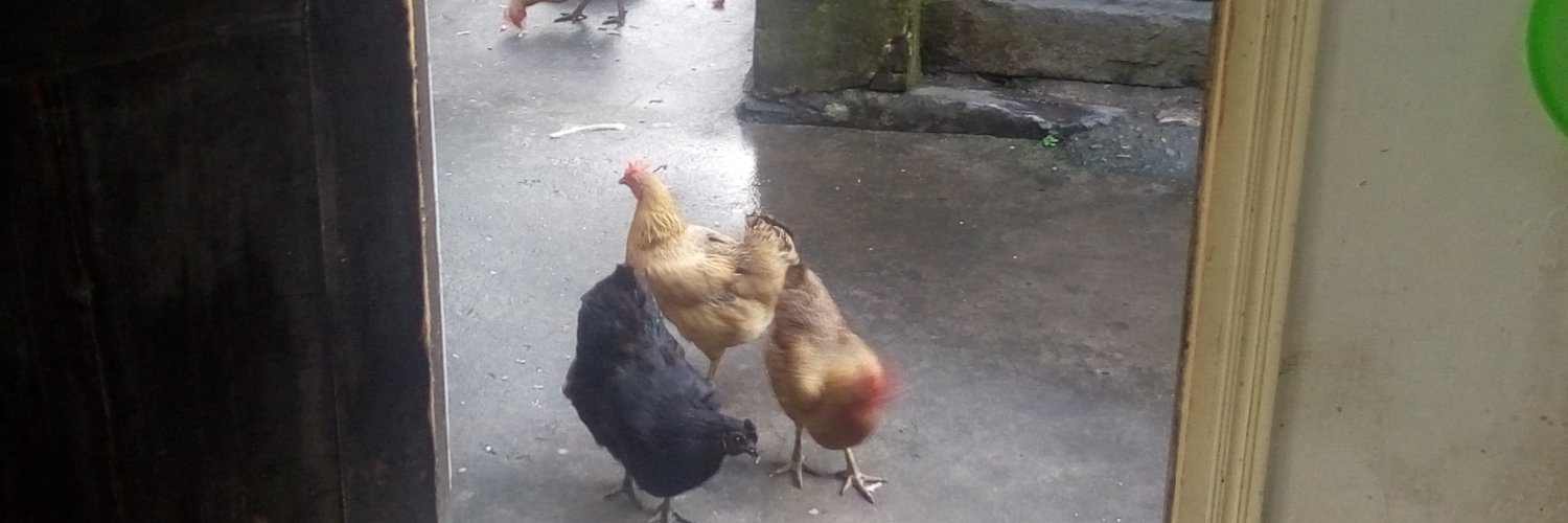 Océan Atlantique banner