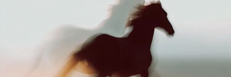 oznuurarslan's profile banner image