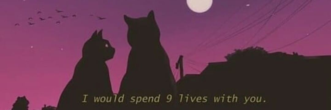 onlykaos's profile banner image